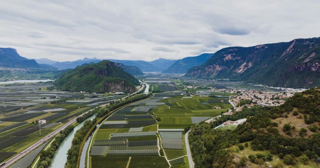 seo bolzano